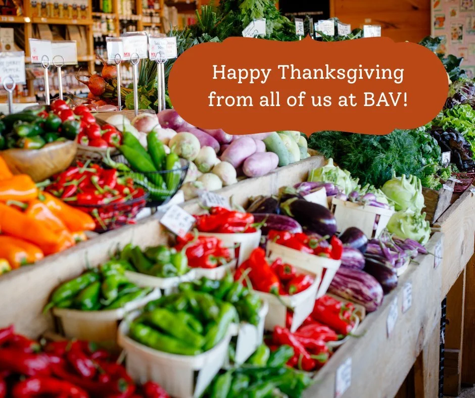 🦃🍠🥧Happy Thanksgiving!! The harvest is in, the land is quiet. BAV wishes you and yours warmth and community this holiday! We are so grateful for the farmers who grow our food, the food traditions that come together on our plates, and those working