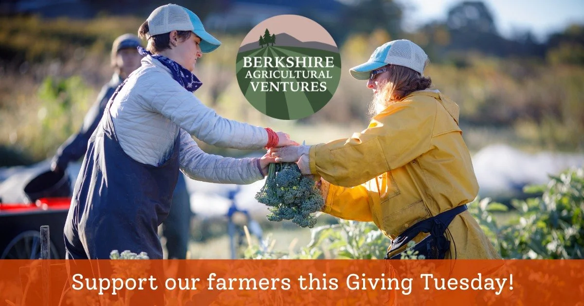 💚TODAY IS GIVING TUESDAY!💚

Farmers feed us 365 days a year!! 🌱This Giving Tuesday, give back to our farmers. Your gift to BAV helps support local farms in MA-NY-CT. 

➡️berkshireagventures.org/support

&quot;Feeding our community is our top prior
