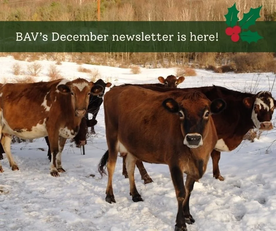 ❄️❄️Last newsletter of the year!! Check out BAV's December newsletter for insightful perspectives from a generous BAV donor who supports regenerative agriculture and environmental justice. Also inside: media highlights, farmer resources &amp; more! ➡