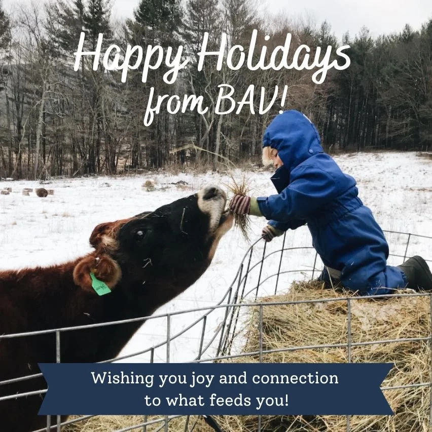 ❄️❄️Happy Holidays! BAV's offices are closed from Dec. 25 through Jan. 1. We wish you joy and peace this holiday season!

📷: Beavertides Farm, CT / @beavertidesfarm 

#hereforourfarmers #berkshireagventures #bav