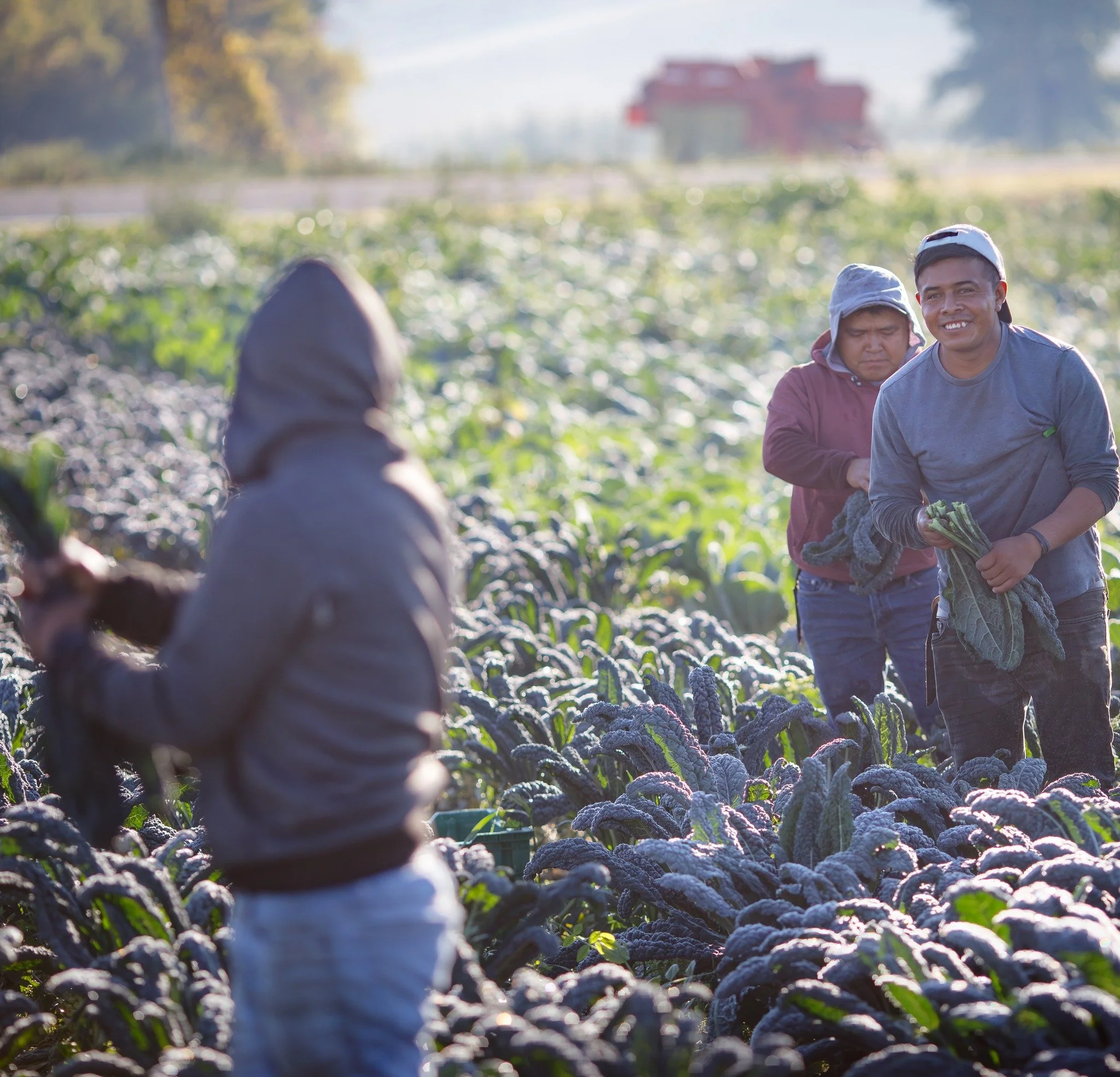 🍎🥬🌰🌼Attention, Specialty Crop Farmers (fruits, veggies, tree nuts, flowers...)!! Great info and an opportunity to share your experience via our friends at @glynwoodorg:

There's $1B on the table for the USDA to distribute to specialty crop farmer