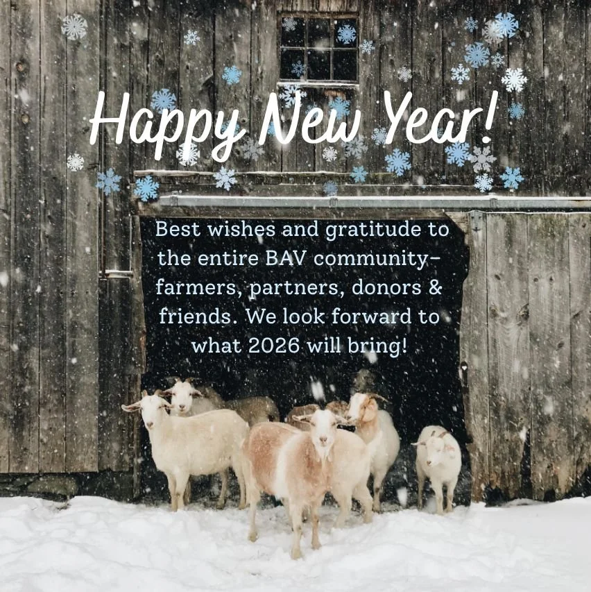 🎉🎉Happy New Year!! All of us at BAV wish our community a happy, healthy, and peaceful new year. Thank you for your support and friendship - we are looking forward to working together in 2026!

📷: Beavertides Farm / @beavertidesfarm 

#hereforourfa