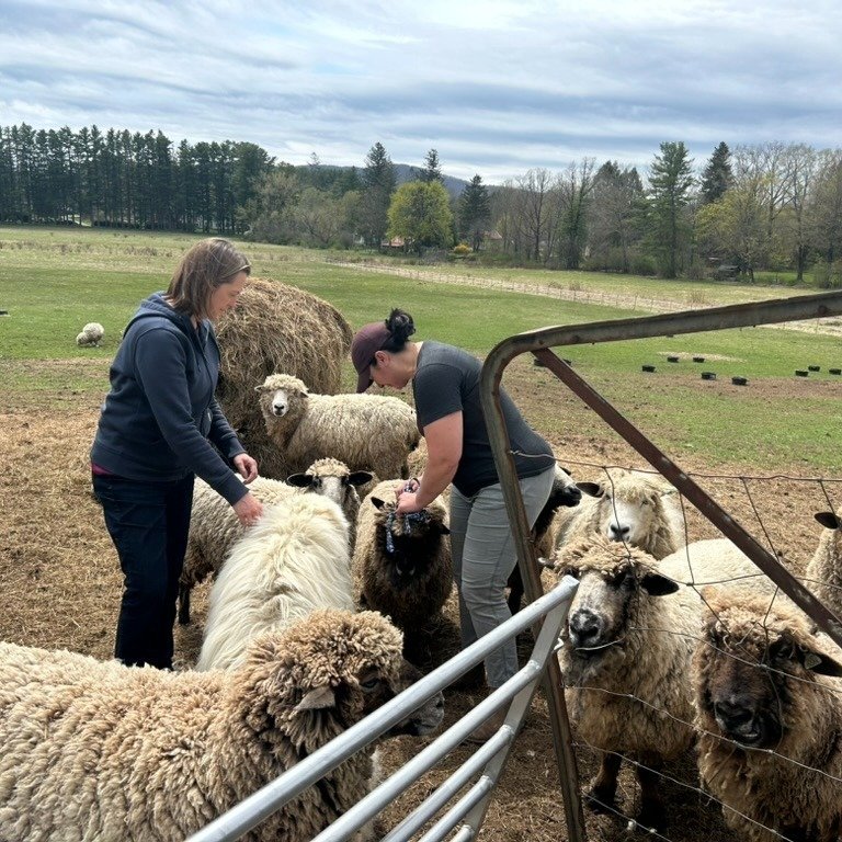 🎉We are excited to announce that BAV is one of the grant recipients for Lee Bank's latest grant cycle! Our sincere gratitude to @lee_bank_ma and its employees for supporting our Business Technical Assistance program in Berkshire County - which provi