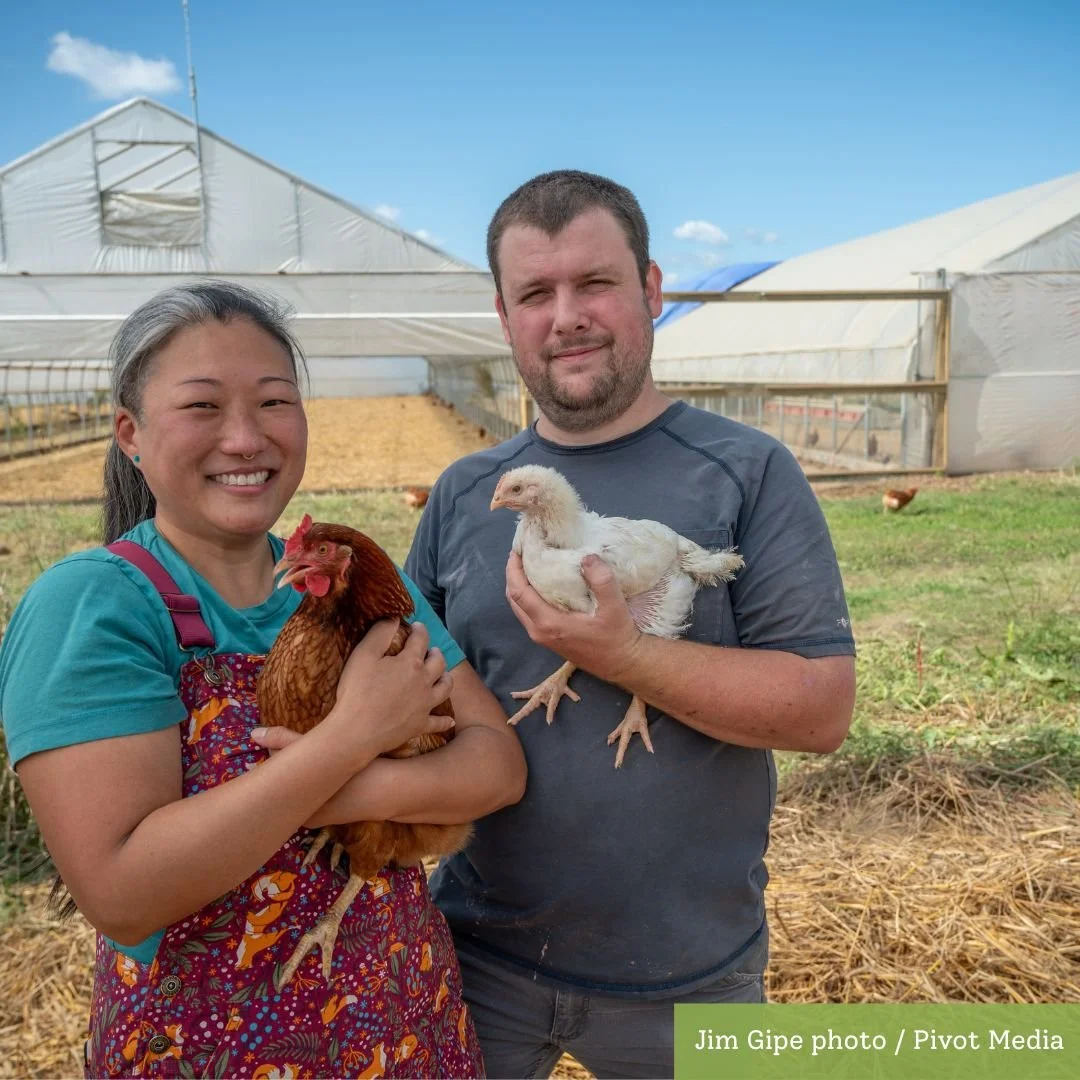 ✨New Year, New Projects: Client Highlights!✨

Today we're sharing the first of four client projects that are getting us excited in the new year.

🐔Reed Farm / Sunderland, MA

@reedfarmpoultry is taking a major step forward this year by transitioning
