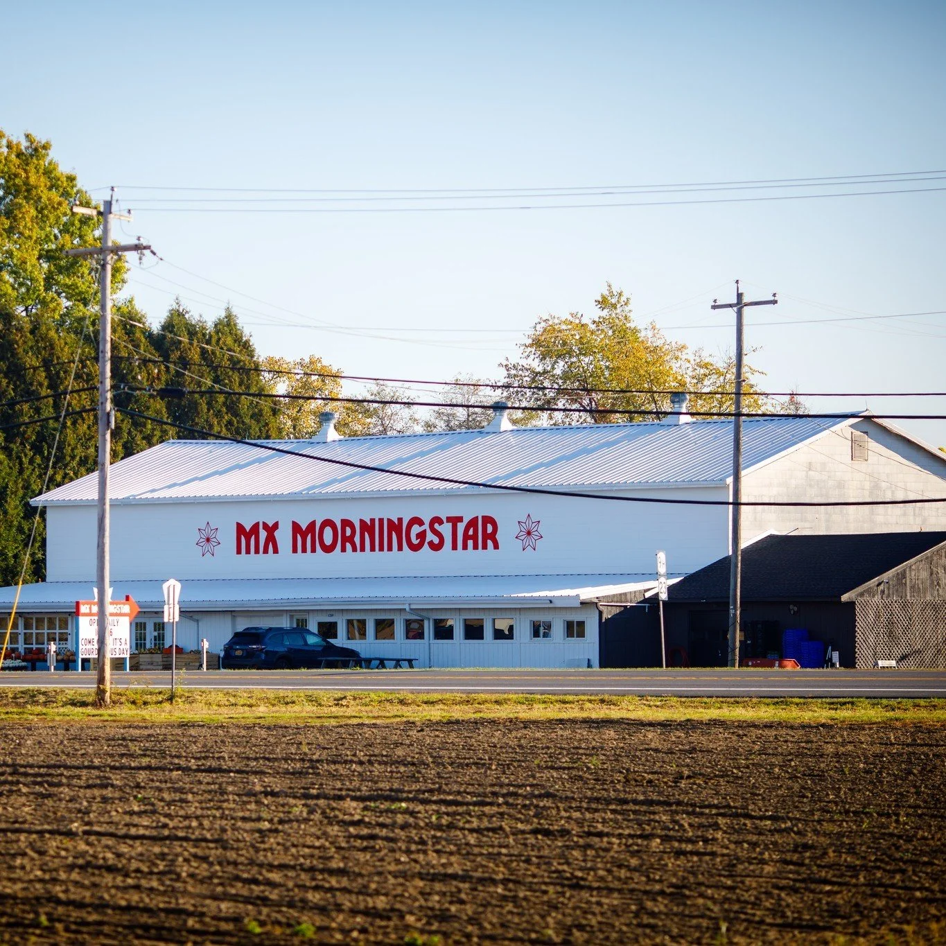 ✨New Year, New Projects: Client Highlights - 2 of 4 Stories!✨

Today we're sharing another client project that's getting us excited in the new year.

🥔🪲"Beetle Beating" (yes, really) at MX Morningstar Farm / Claverack, NY

@mxmorningstar 