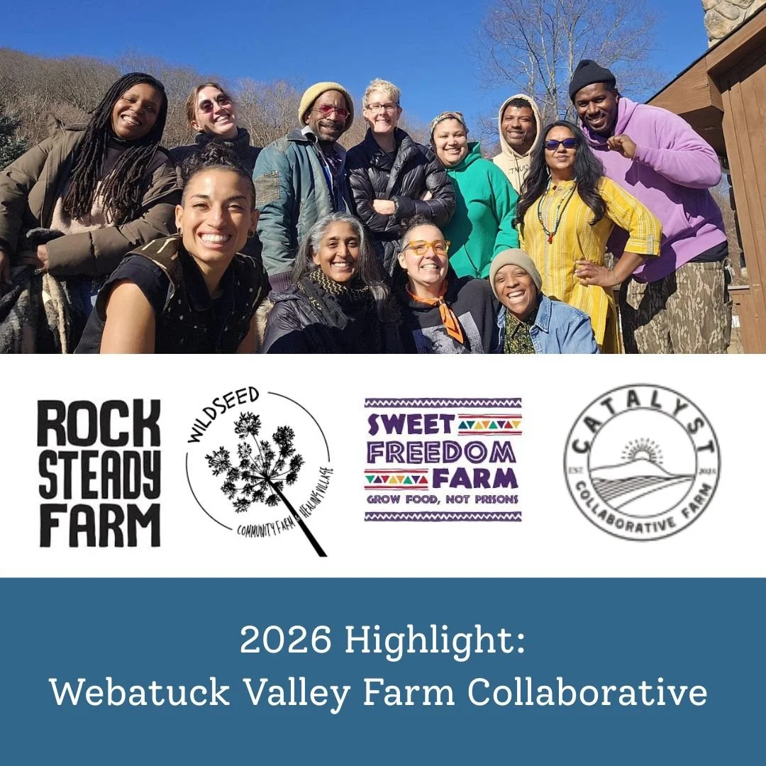 ✨New Year, New Projects: Client Highlights - 3 of 4 Stories!✨

We're so happy to share another project that's getting us excited in the new year. BAV has been a tiny piece of this huge and transformative infrastructure project - read more below!!

🌱