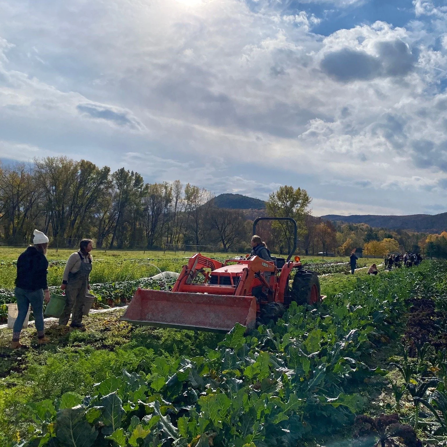🌱We are excited to highlight a GREAT new/revitalized climate-focused resource for farmers and ag service providers: "Climate Adaptation - Resources for Farmers."

➡️uvm.edu/climatefarming/

This collection of high-quality, specific resourc