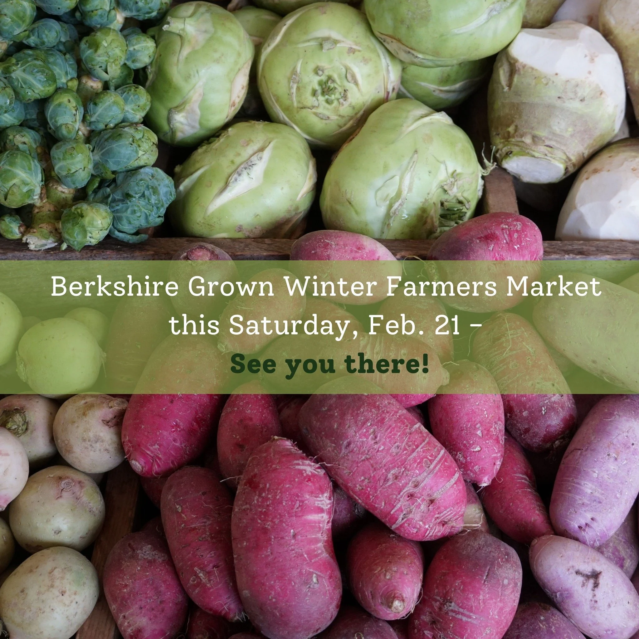 🎉🎉Coming up - we're excited for the Berkshire Grown Winter Farmers Market!! Happening THIS Saturday, Feb. 21, from 10am to 1pm at the Housy Dome!

A few of us from BAV will be there to spend time with our @berkshiregrown colleagues, visitors from t