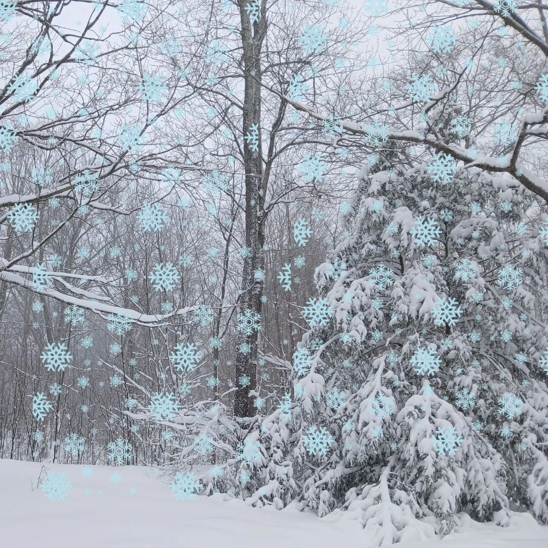 ☃️Happy Snowy Day!! Hope everyone is warm &amp; well.

If you're looking for inspiring reading as you watch the tumbling snow ... check out BAV's February newsletter! ➡️Link in bio!

🌱We had the privilege and pleasure of talking with Mark Watson fro