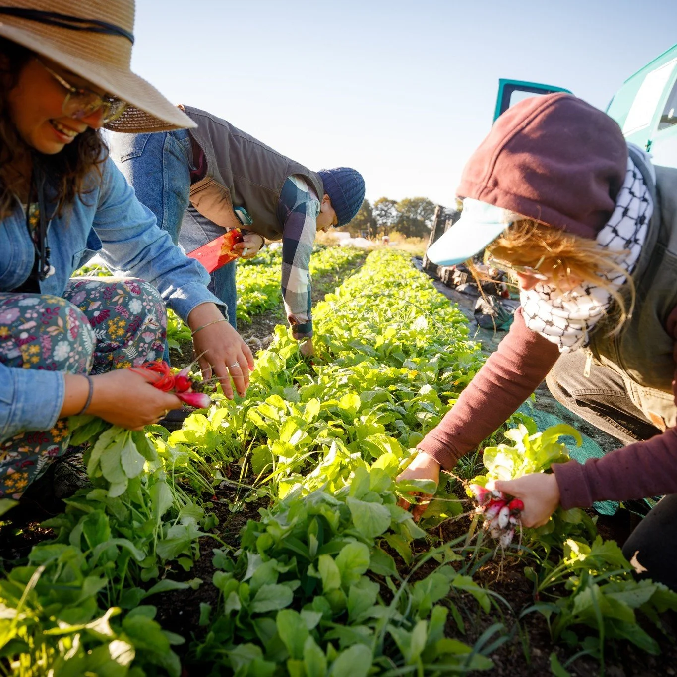✨Happy Friday!! We're excited to boost another upcoming grant opportunity for MA farmers: 

🚜🐄MDAR's Farm Viability Enhancement Program - deadline April 14

Need grant-writing and/or lending support? Reach out to BAV at info@berkshireagventures.org