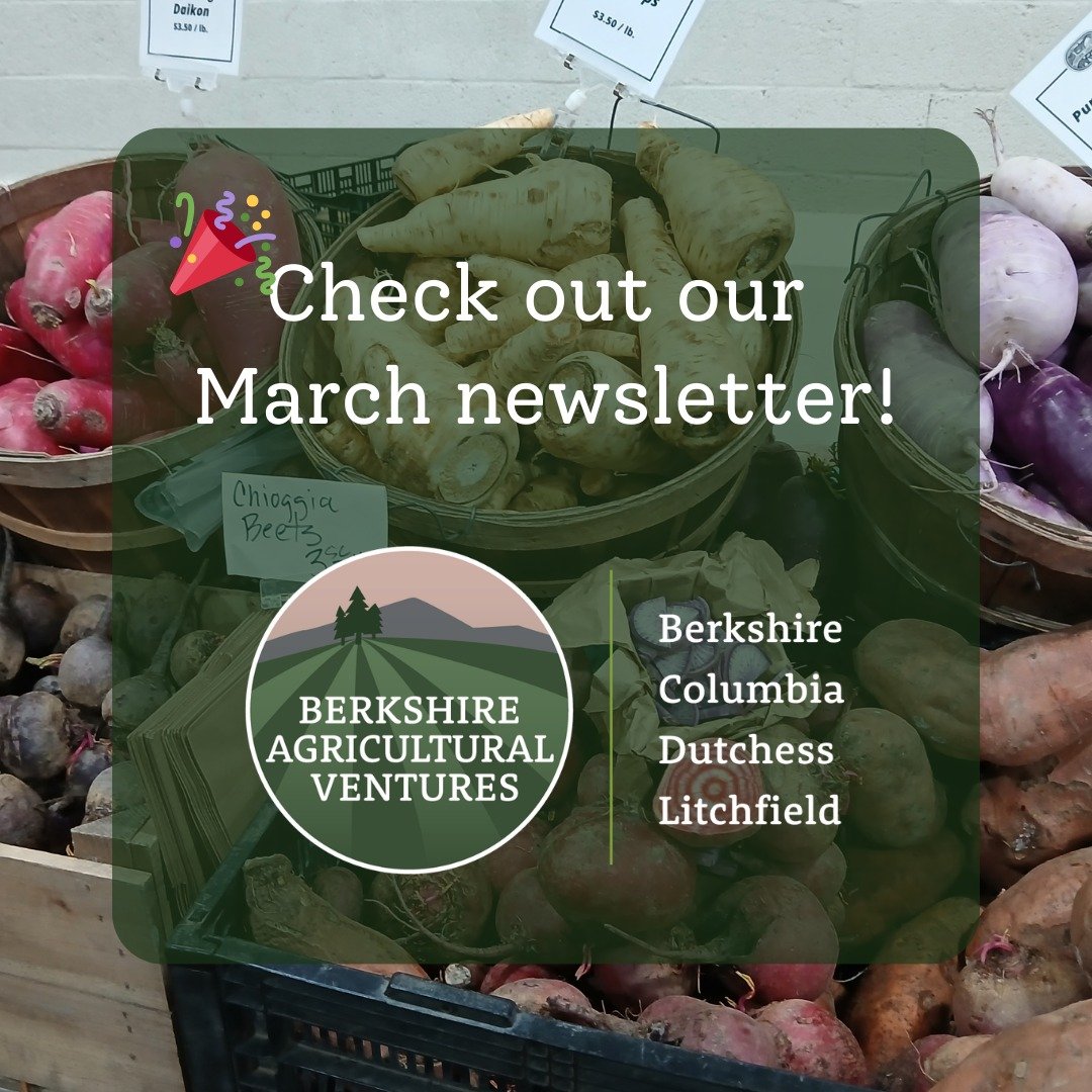 BAV's March newsletter is here!! 🎉News + updates + farmer resources ➡️Click on bio link!

Get it in your inbox: berkshireagventures.org/newsletters

Learn more about BAV's new RFSP grant: "We are creating a rare opportunity to move beyond state