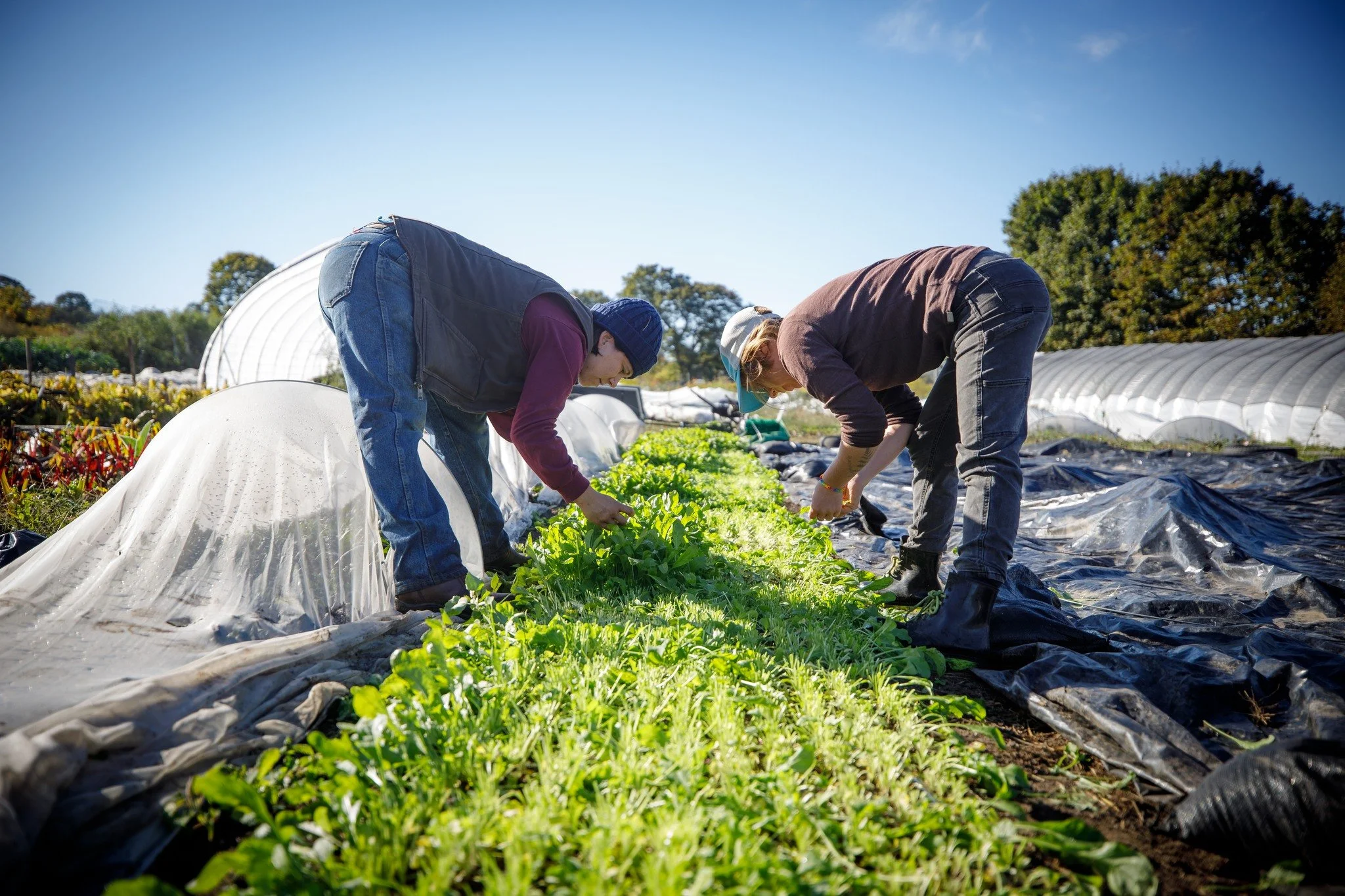 ✨✨BAV is thrilled to congratulate Berkshire Eagle photojournalist Stephanie Zollshan for winning "Photojournalist of the Year" at the 2025 New England Newspaper &amp; Press Association Competition!!

She brought home five first-place awards
