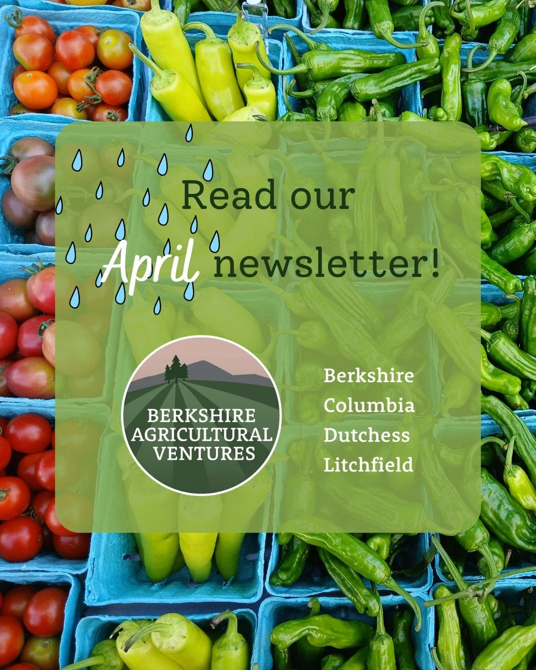 ☂️Our April newsletter is out!! Check it out below &amp; sign up to get it monthly in your inbox. This month, we're focused on Market Match, the MA FARM Bill &amp; grant opps for farmers!

Link in bio!

#hereforourfarmers #berkshireagventures #bav