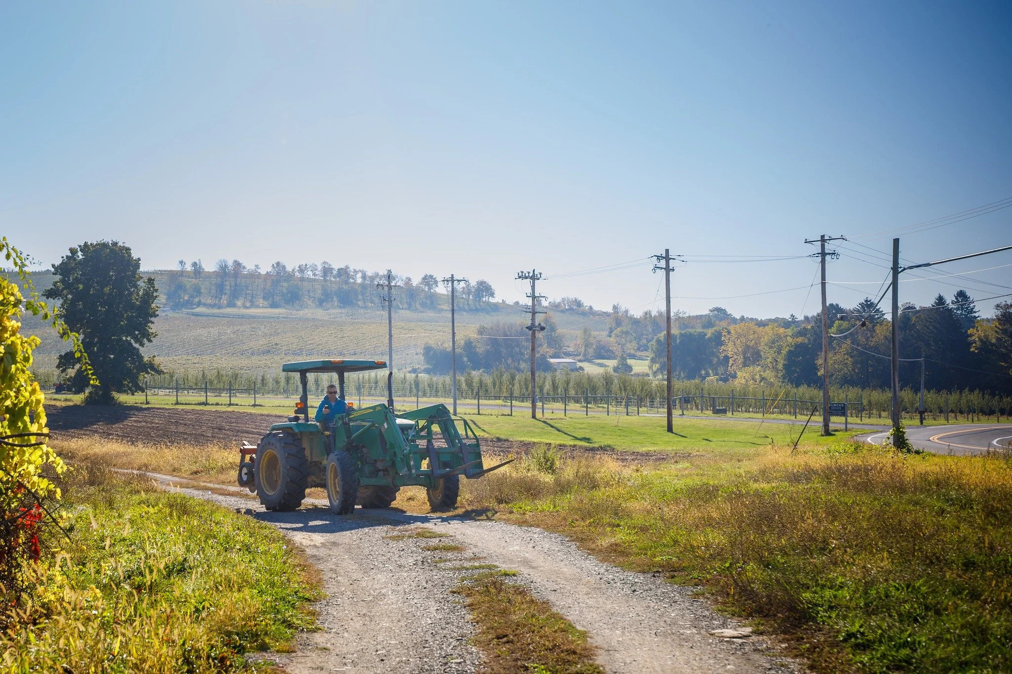 📣📣📣Attention, Farmers! USDA Local Agriculture Market Program (LAMP) grants are now open!!

These grants include the Farmers Market Promotion Program (FMPP) and the Local Food Promotion Program (LFPP), especially the Turnkey grant tiers.

➡️Key Req