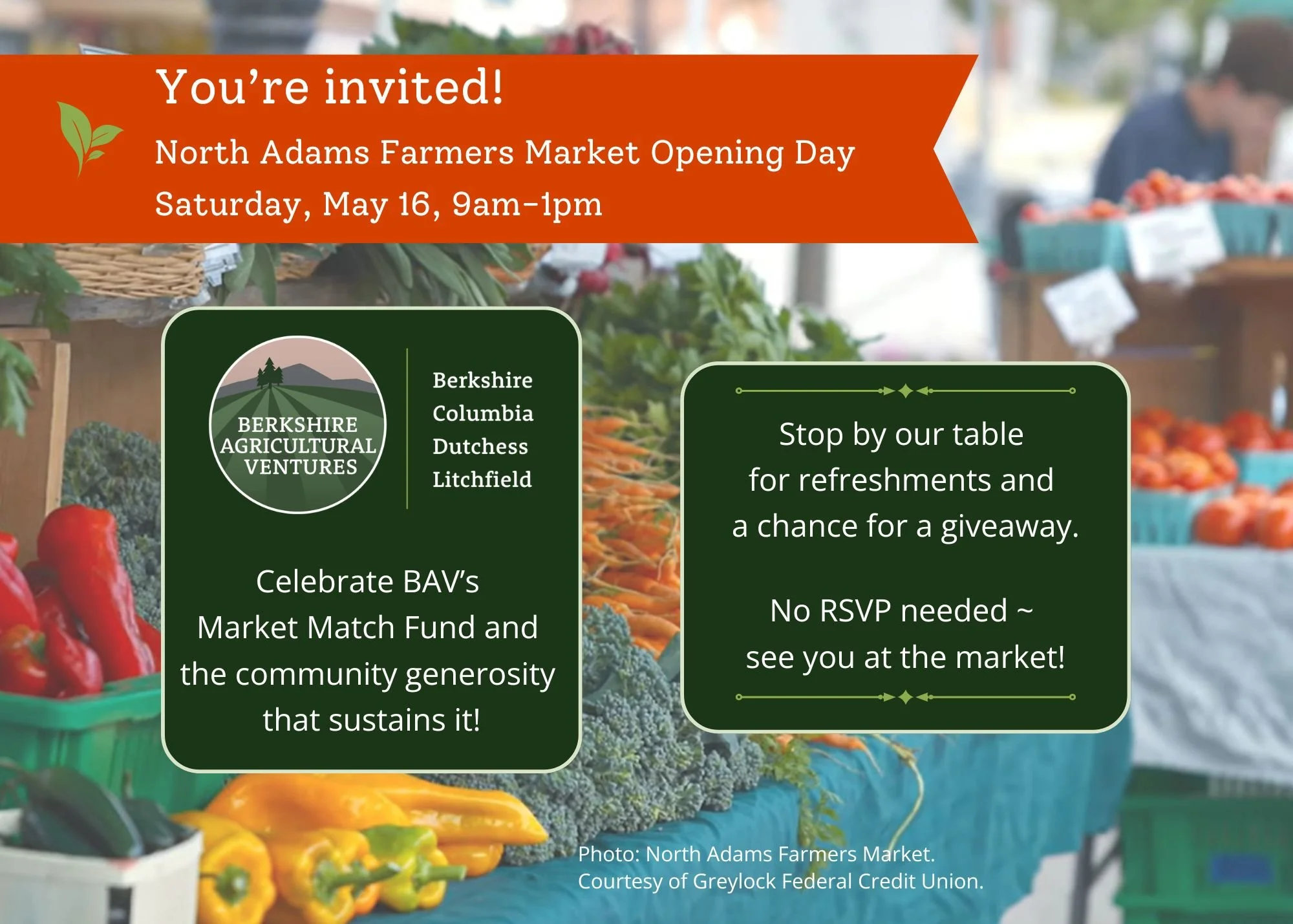 🍅🥕🐔🌱Can't wait for TOMORROW!! BAV is tabling at the @northadamsfarmersmarket on Saturday, May 16 - opening day! A number of local farmers markets are opening tomorrow - in north county, here's looking at you, @williamstownmafarmersmarket! We wish