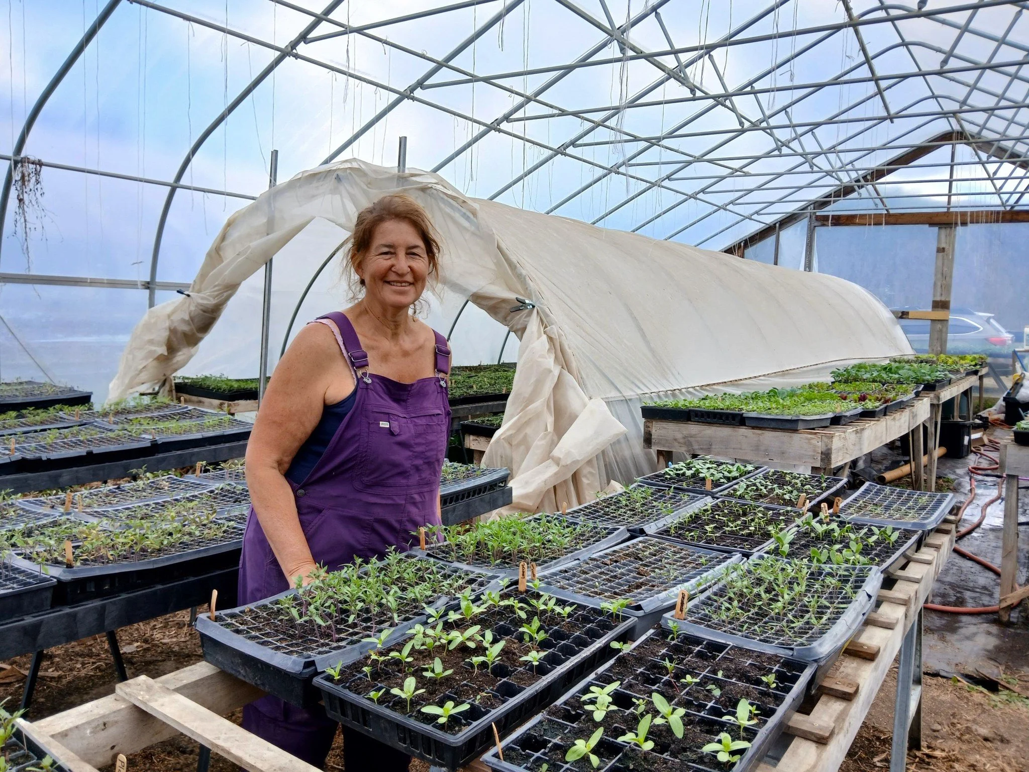 🌸🌿BAV's May newsletter is here!! Link in bio.

This month, we're delighted to spotlight .... seedlings!!! 🌱🌱 BAV was so glad to partner with and support Laura Meister of @farmgirlfarm to give her seedling business a boost this winter with a small