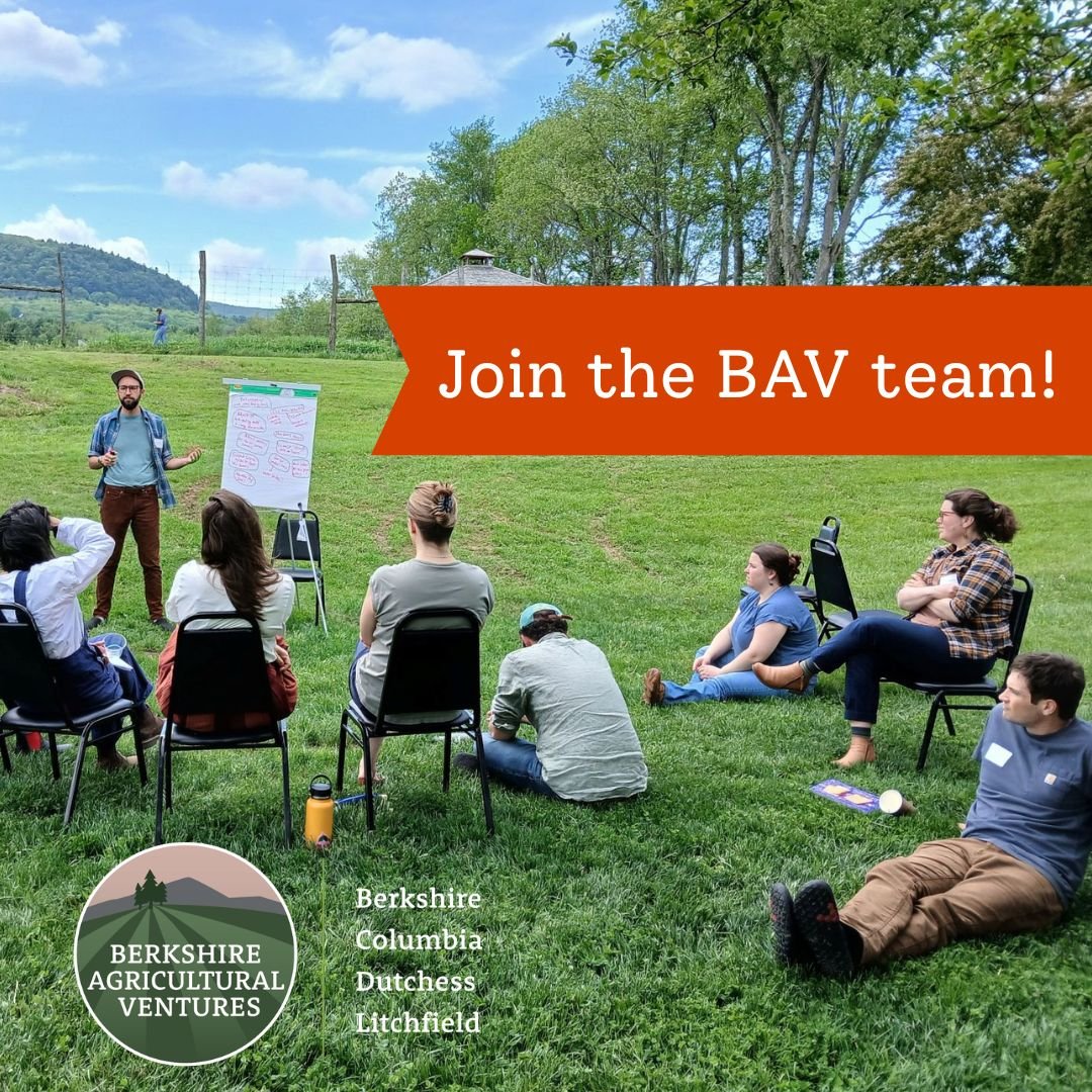 🎉🎉We're excited to share that we're hiring!

BAV seeks an experienced, detailed, and solutions-oriented Development and Operations Associate to manage core components of resource development and operational support. This pivotal role focuses on dat