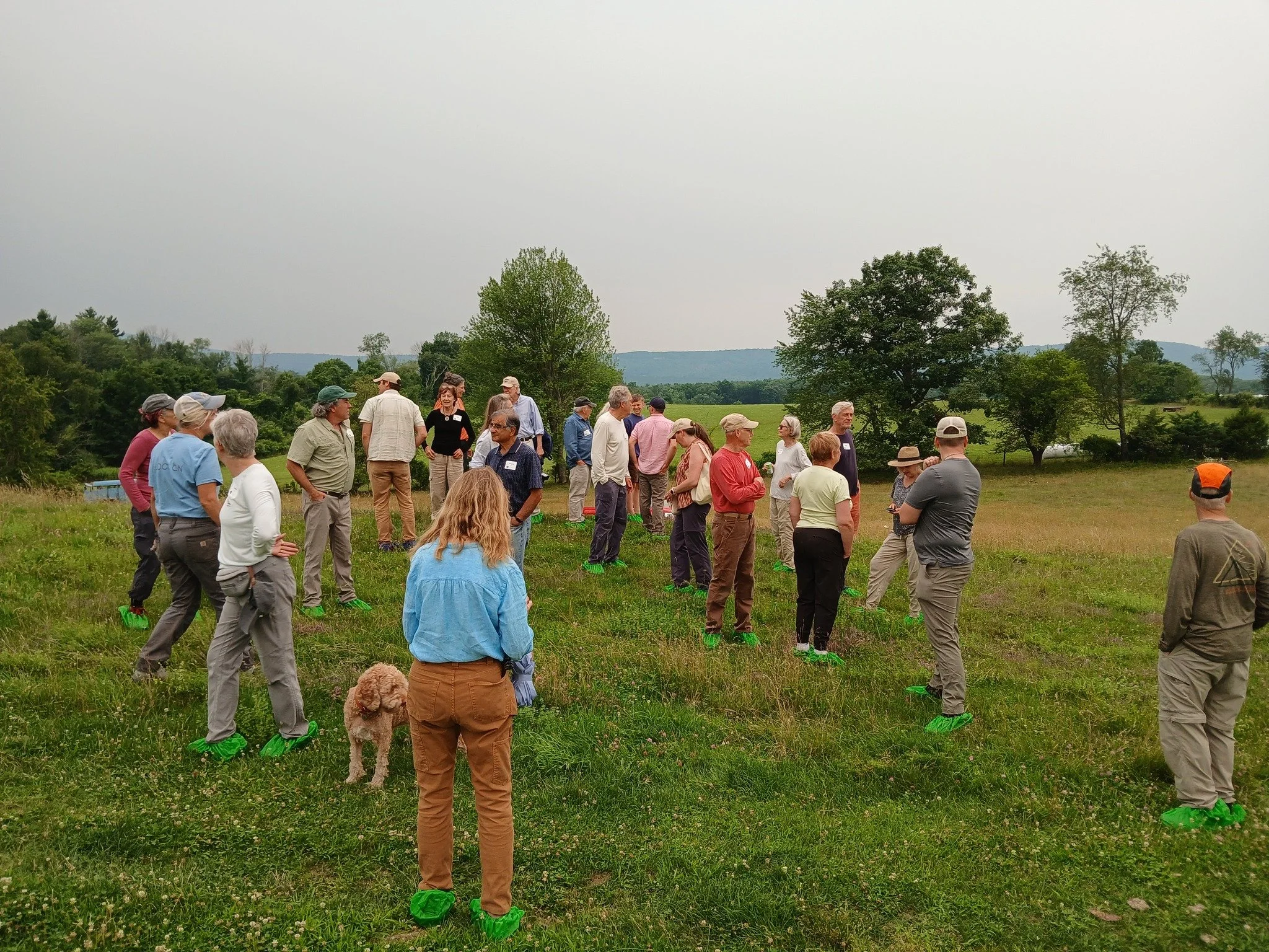 🐑🐏✨✨What a farm tour!! We are still on top of the world after yesterday's thrilling experience at @lilasmountainfarm, organized by BAV for invited guests in close collaboration with Farmer Mary Berle and her team. 

We learned so much about the pas