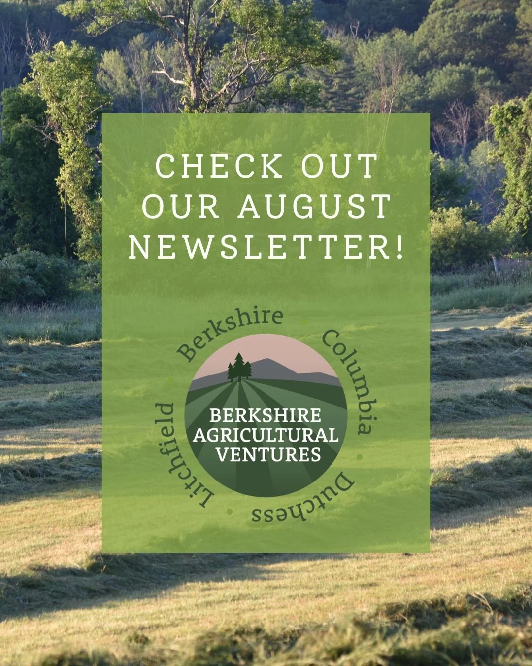 🌽🍅 BAV's August newlsetter is here!! Get the scoop on:

*BAV's new Farm Business Accelerator 
*2026 Luminary Roadshow
*Farmer storytelling with FODDER
*Farmers Market Week
*Disaster recovery resources for farmers
*And more

✨Read it here: 
Link in 