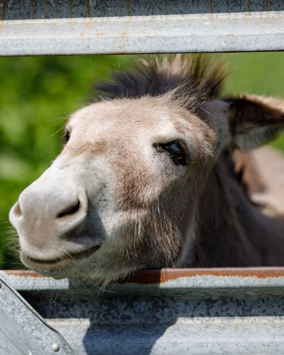 🌱🚜Attention, Farmers!! Want to learn more about BAV's Farm Business Accelerator?

Join us for our upcoming INFO SESSION - next Tuesday, August 25, 7-8pm on Zoom.

➡️Link in bio to register! 

If you register but can't make the session, BAV will sen
