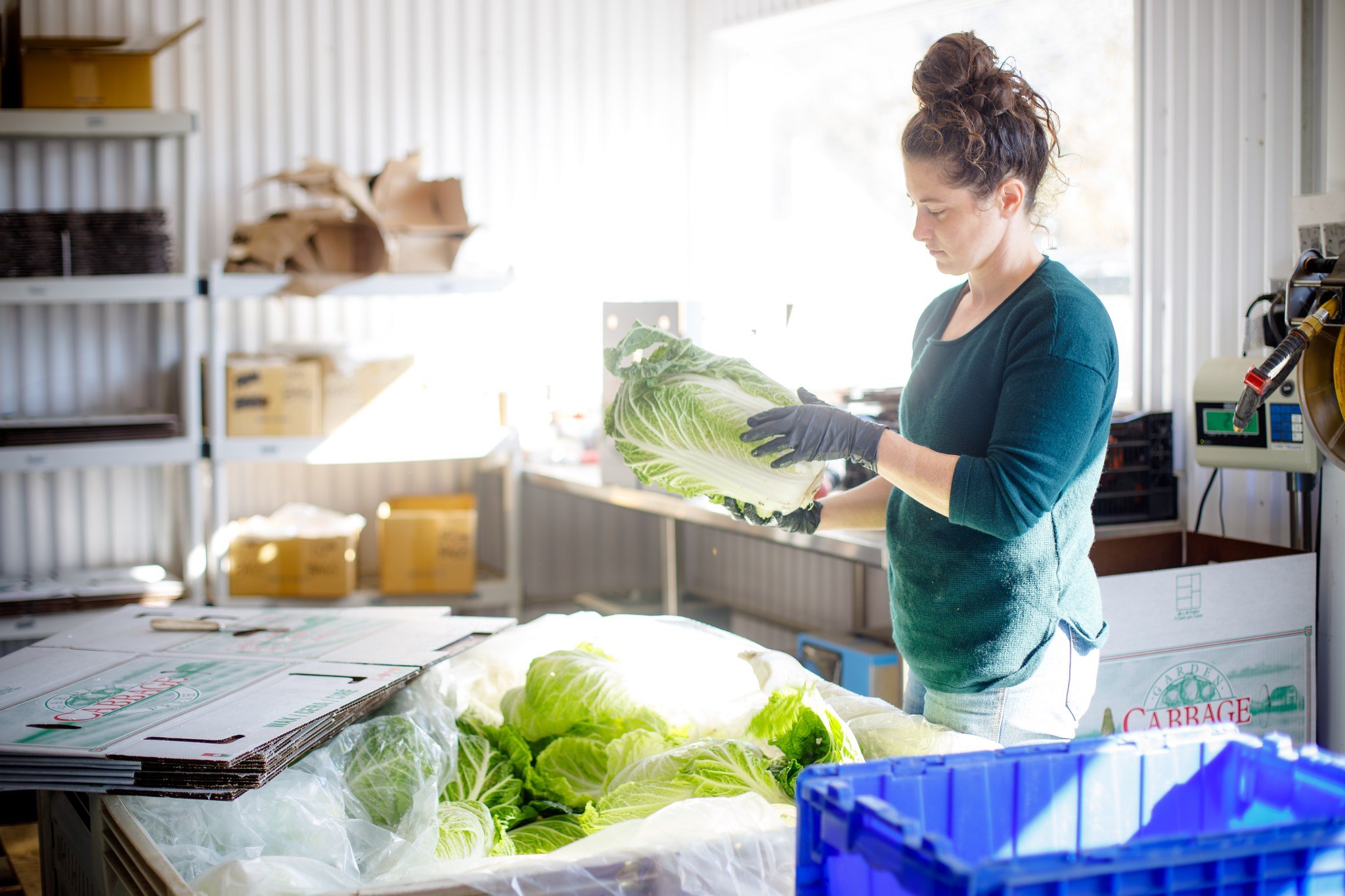 🚜🏫Coming up tomorrow!! We are excited for this webinar - Learn How to Supply a New Statewide Local Food for Schools Contract.

A new statewide contract designed to enable schools to source local foods - including produce, dairy, seafood, animal pro