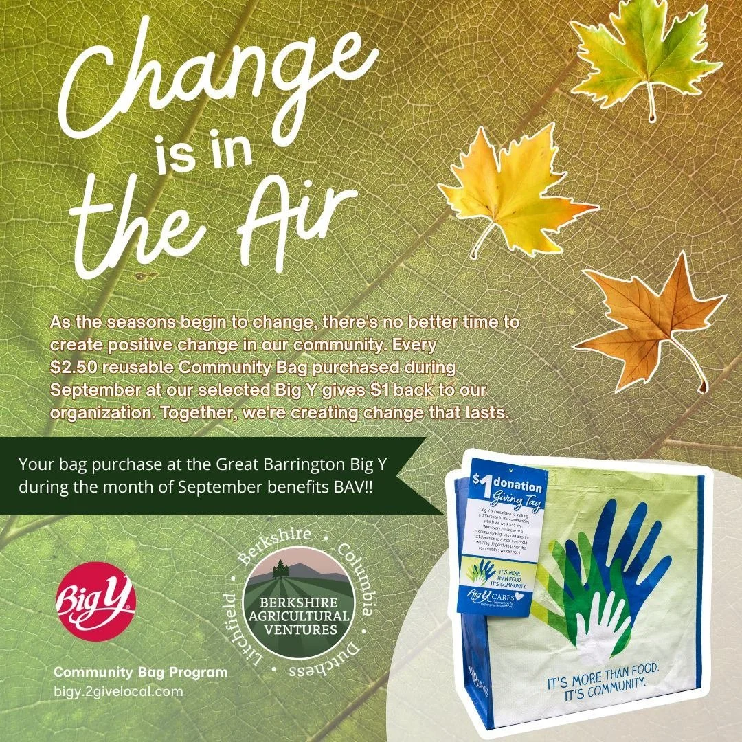 🎉🎉We are excited to announce that BAV is the recipient of the Community Bag program at the ***Big Y in Great Barrington*** during the month of September!! 

Every reusable Community Bag purchase during September at the Great Barrington Big Y benefi