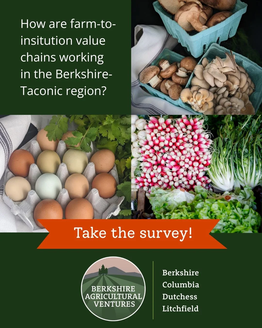 📣📣SURVEY OPPORTUNITY: Do you grow, aggregate, process, buy, or coordinate around local food in the Berkshire-Taconic region? BAV needs your help and input!

We are working with Seed Change Strategies to gather input on how farm-to-institution suppl