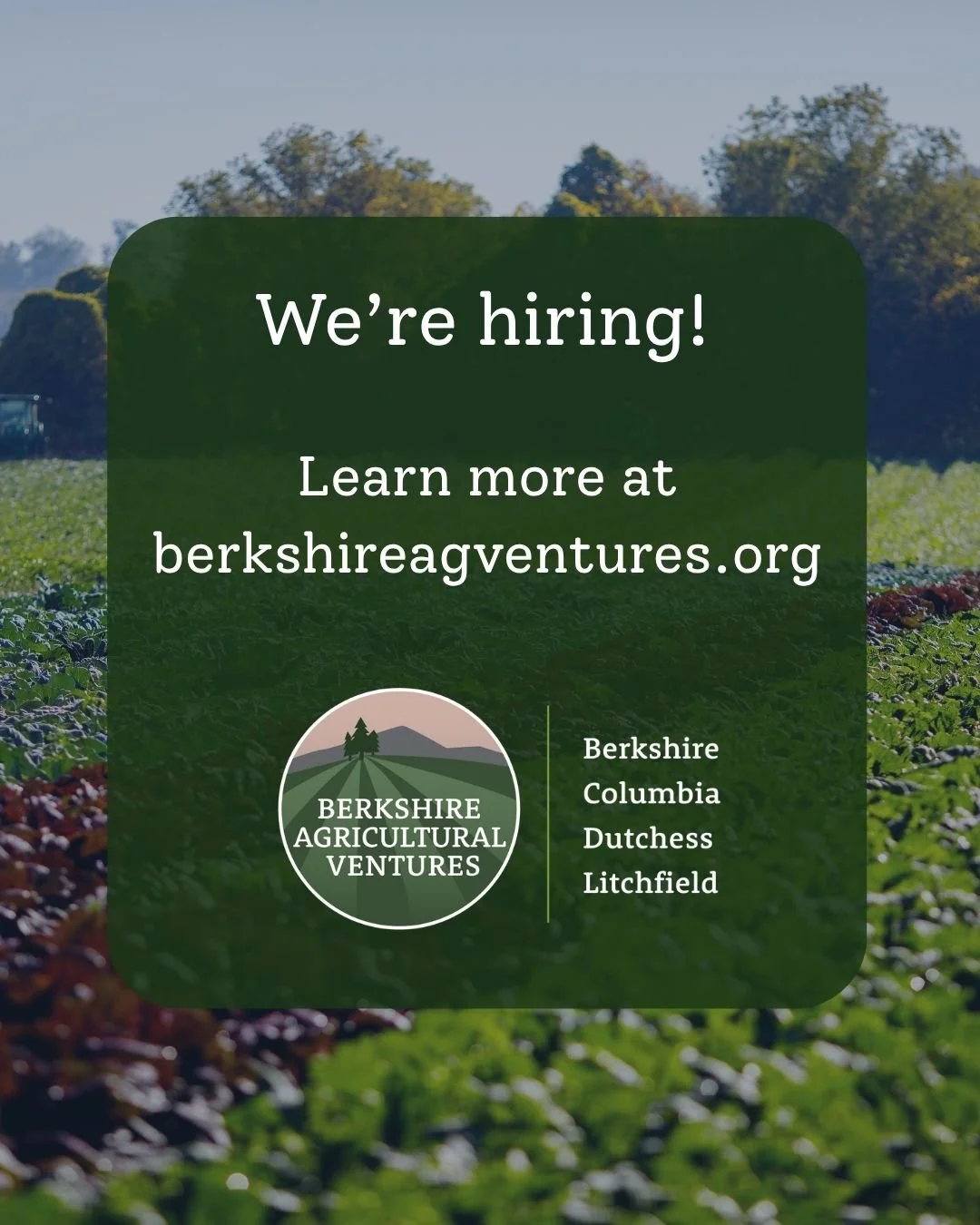 🎉BAV is hiring! We are bidding farewell to our wonderful Director of Lending and Finance, Shannon Smith, who is leaving in January 2027. We are looking for the next Director of Lending to lead and grow BAV's flourishing lending program - providing l