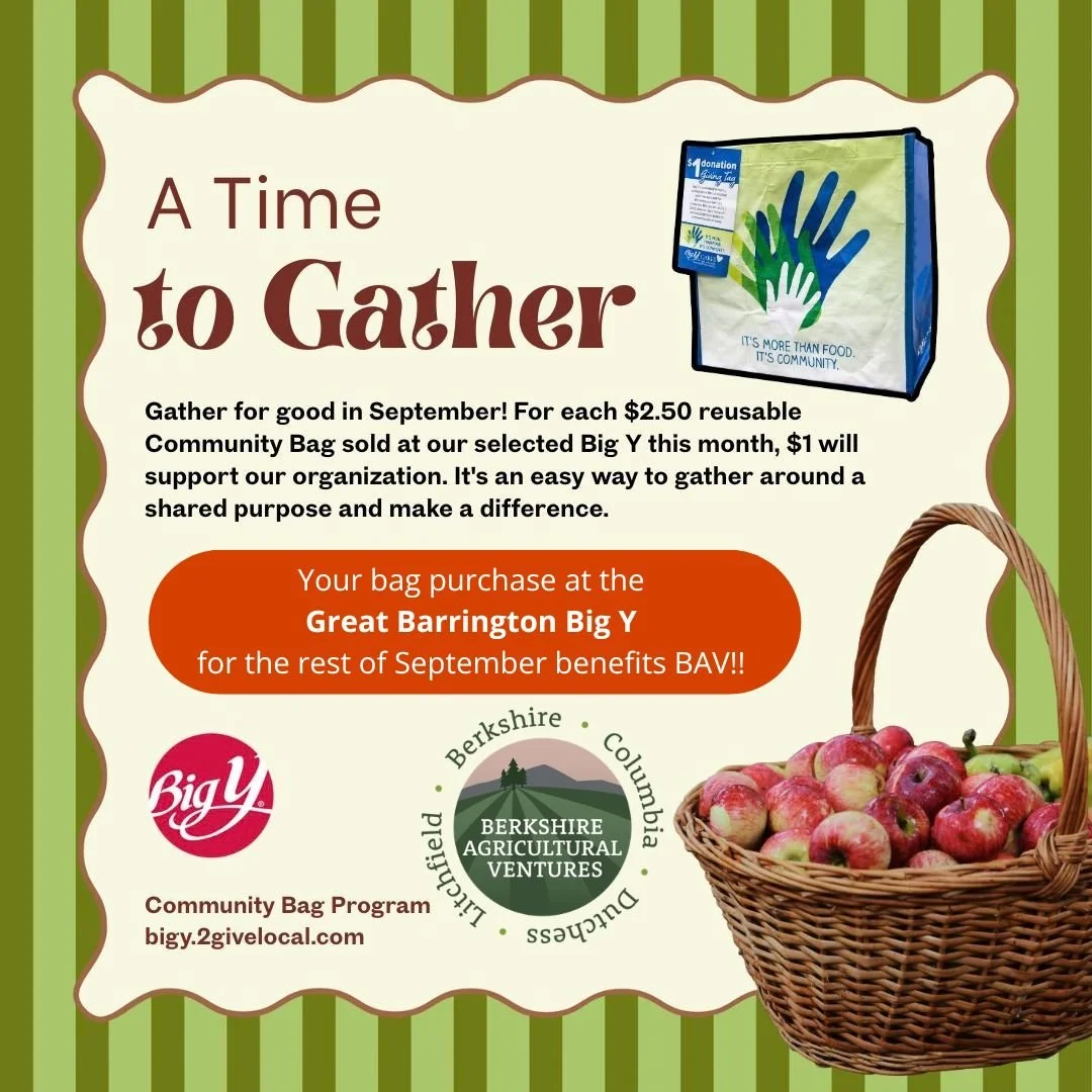💰One week left!! Purchasing a reusable bag at the GREAT BARRINGTON BIG Y for the rest of September benefits BAV! For each $2.50 bag purchase, $1 will be given back to our organization.

🌱You can cut down on plastic while supporting the local farmer