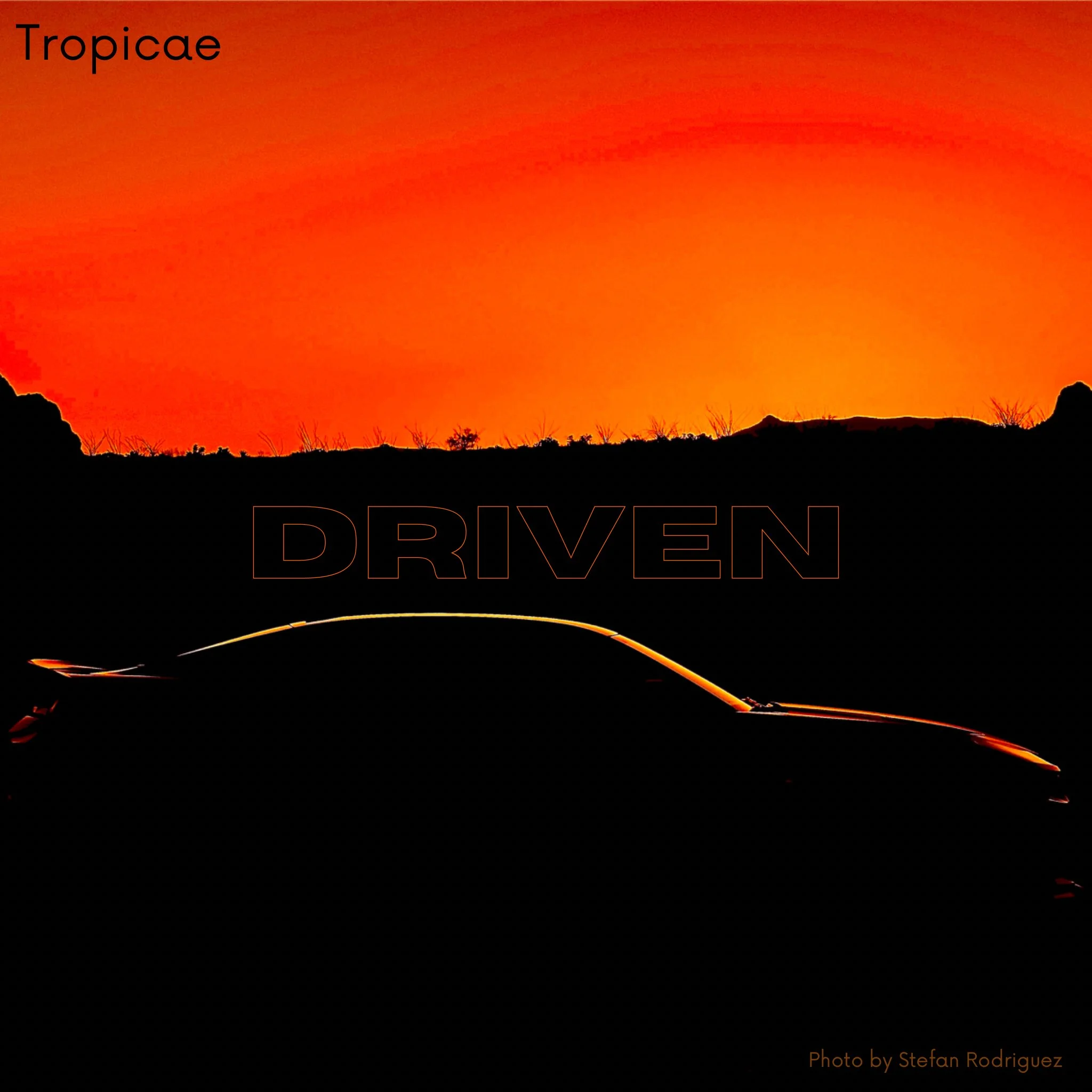 Driven by Tropicae.jpg