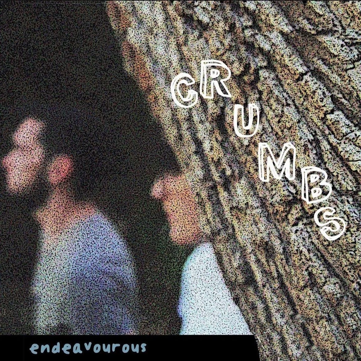 Crumbs by Endeavourous.jpg