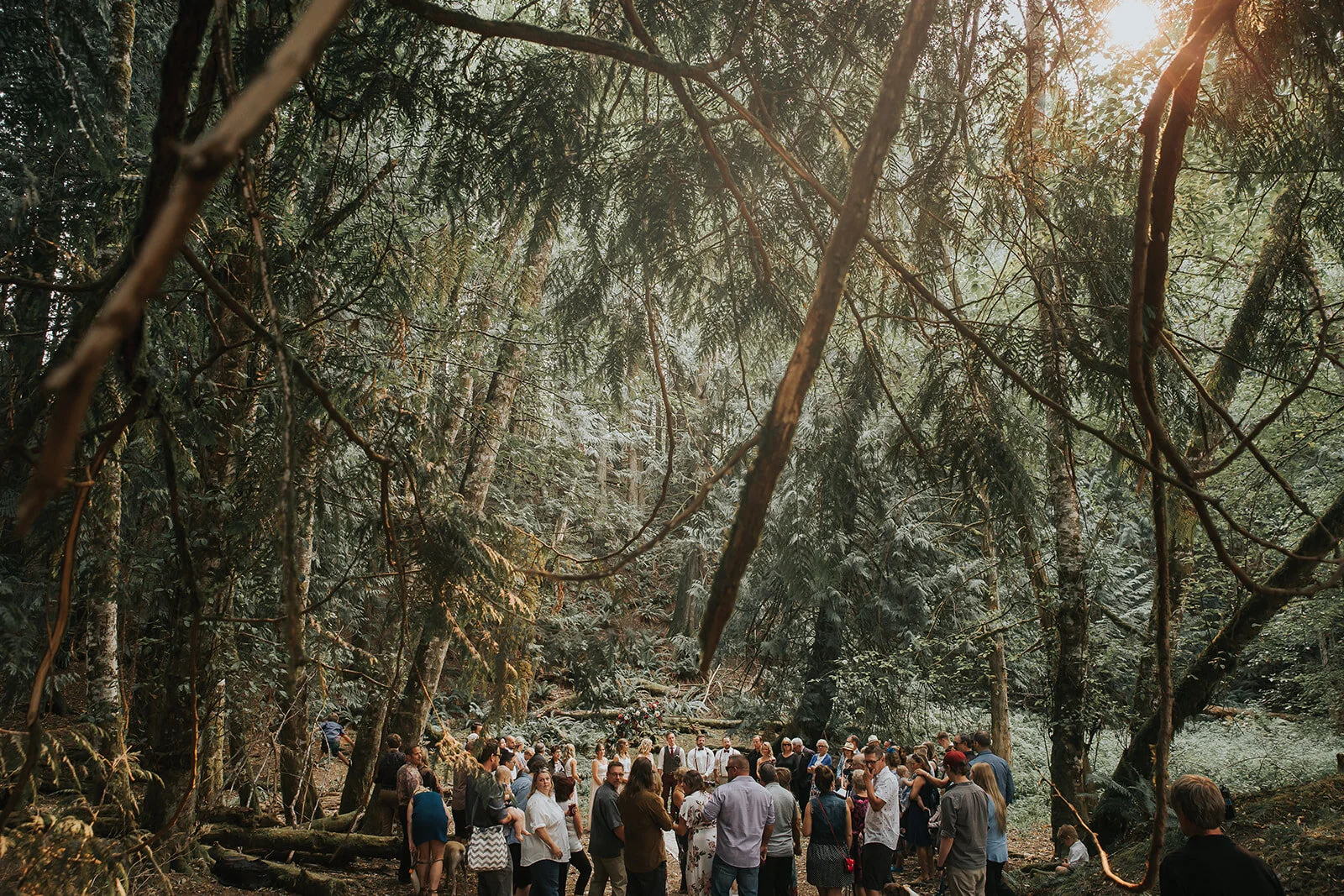 People gathered in a forest, possibly for a wedding or ceremony, surrounded by tall trees and dense foliage, with sunlight filtering through the canopy.