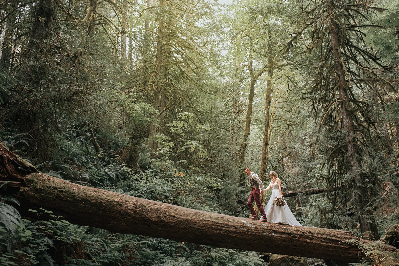 A couple in wedding attire walking on a fallen log in a dense, green forest with towering trees and lush foliage.