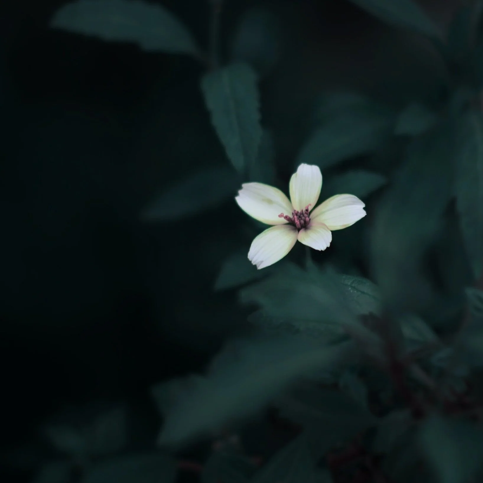 If You Want To Grow - Let It Go (At Least Sometimes)