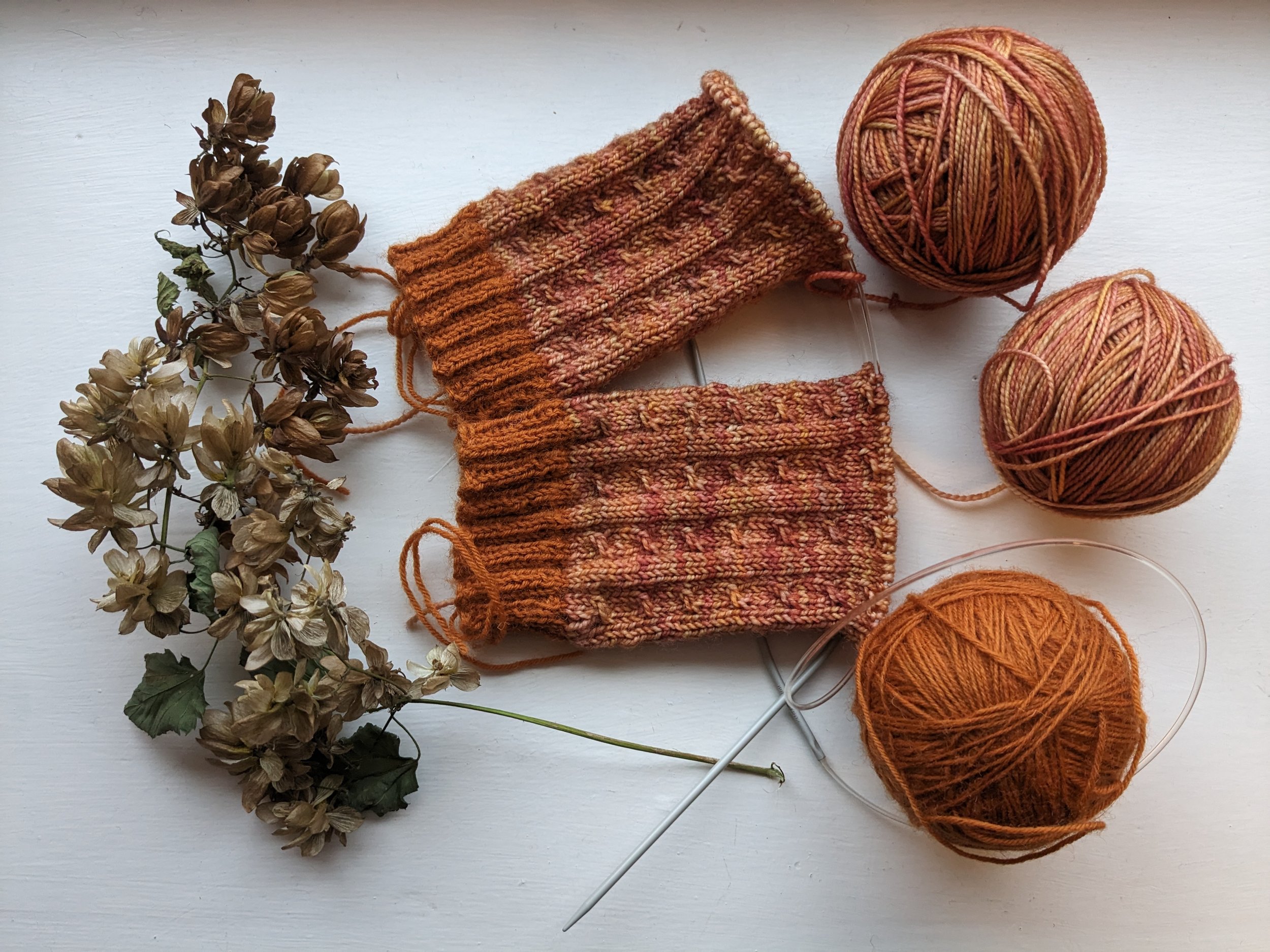  Windspeed Easy Crochet Kit for Beginners, Crochet Animals Kit  for Adult Knitting Starter Kit for Kids Crochet Starter Kit for Beginners