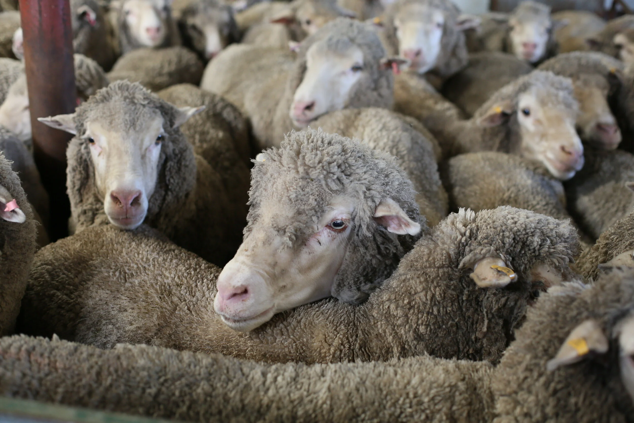 Spaced_Wellstead Blog 1.jpeg