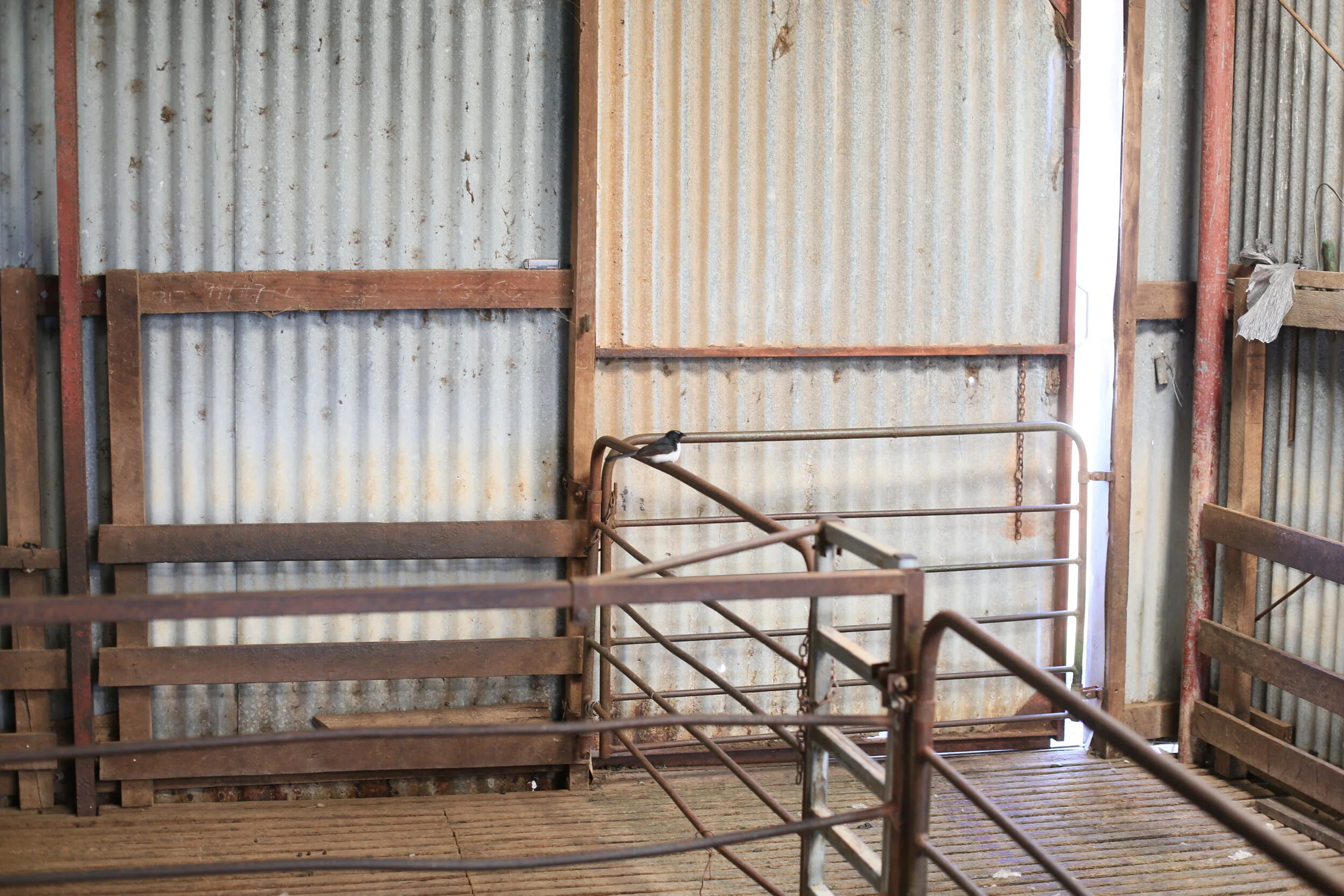 Spaced_Wellstead Blog 2.jpeg