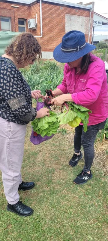 Fig 19 Collecting veges at Beverley Community Garden 