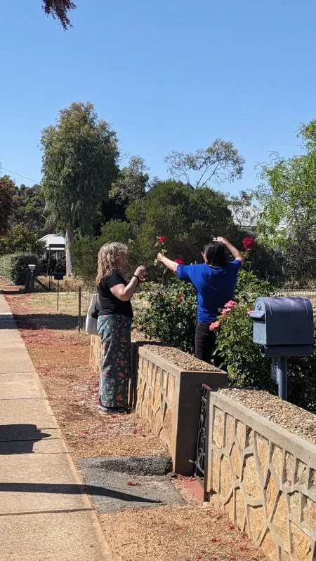 Fig 24 Beverley resident donating roses for a distillation, Forrest St 