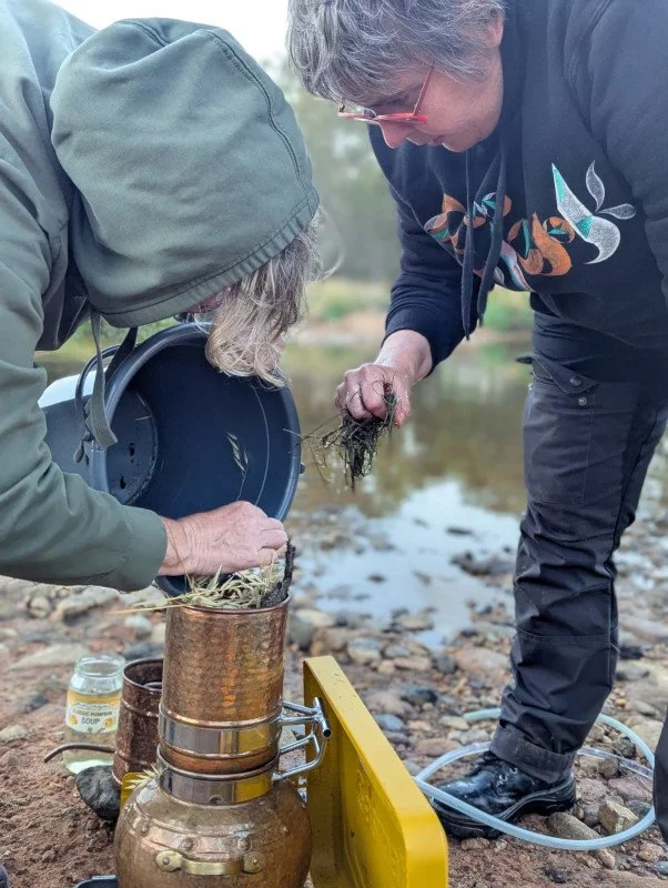 Free Online Workshop: “Olfaction, Solastalgia and Art-Making” with Sue Hauri-Downing &amp; Tarsh Bates