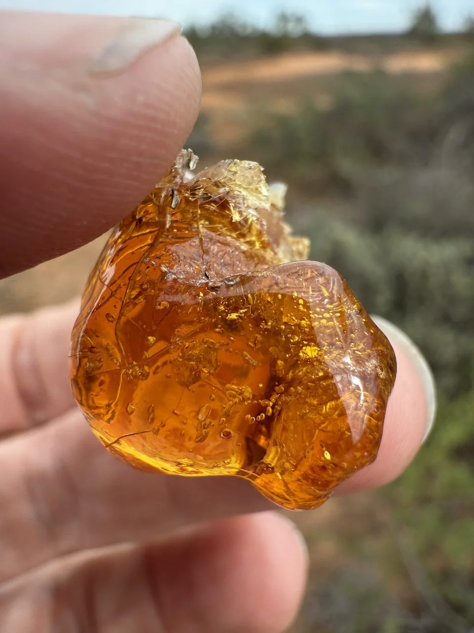 Circular Economies Residency: Linda Tegg in Carnarvon #6