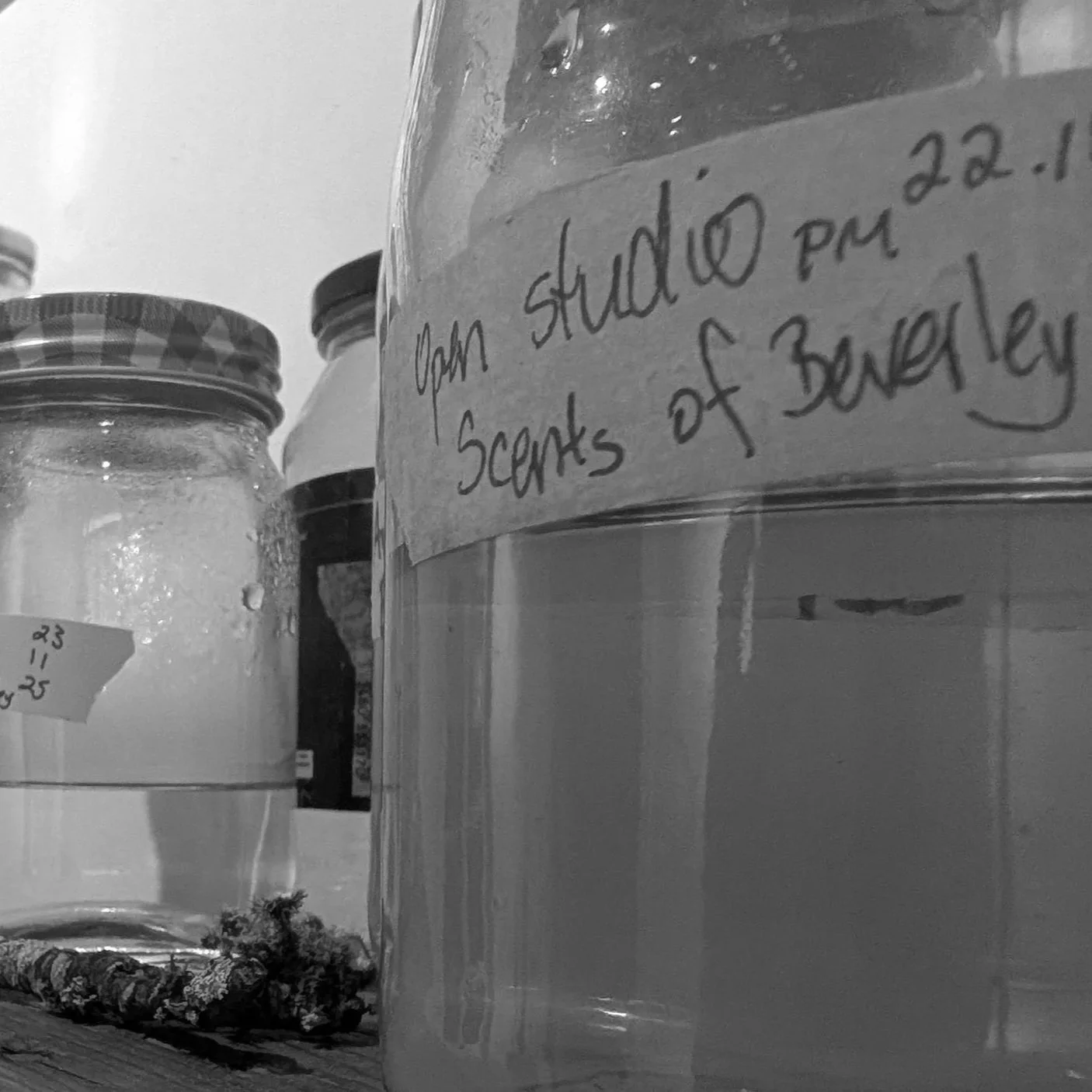 Event: Open Studio and Smell Walk with Tarsh Bates &amp; Susan Hauri-Downing 