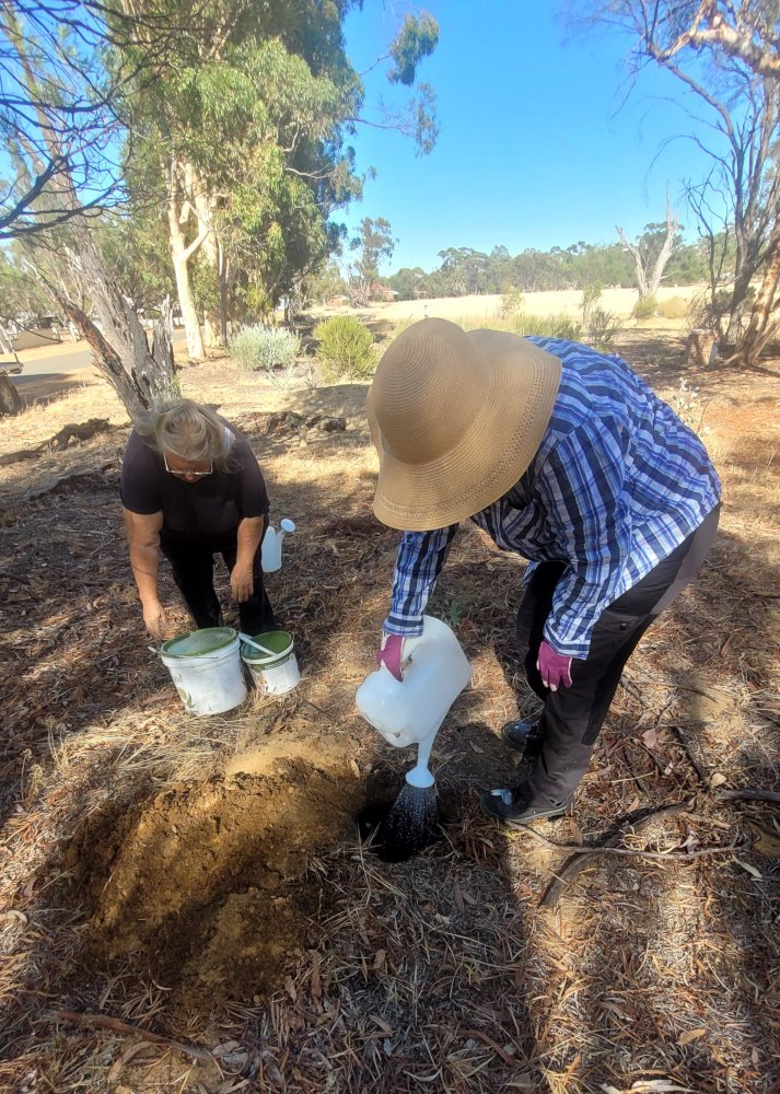 Fig 2 Living microbes.jpg