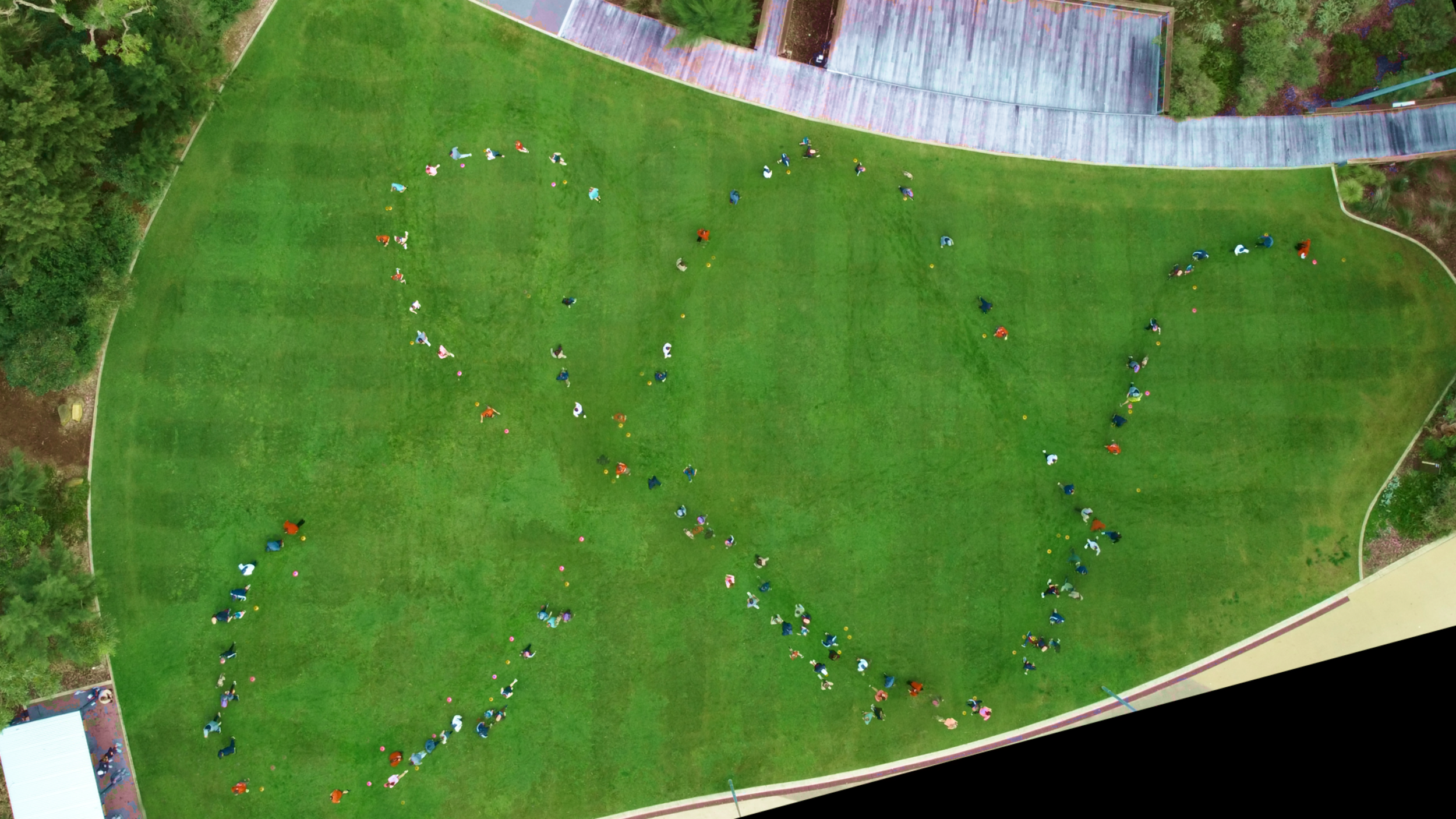 wsb birds eye.png
