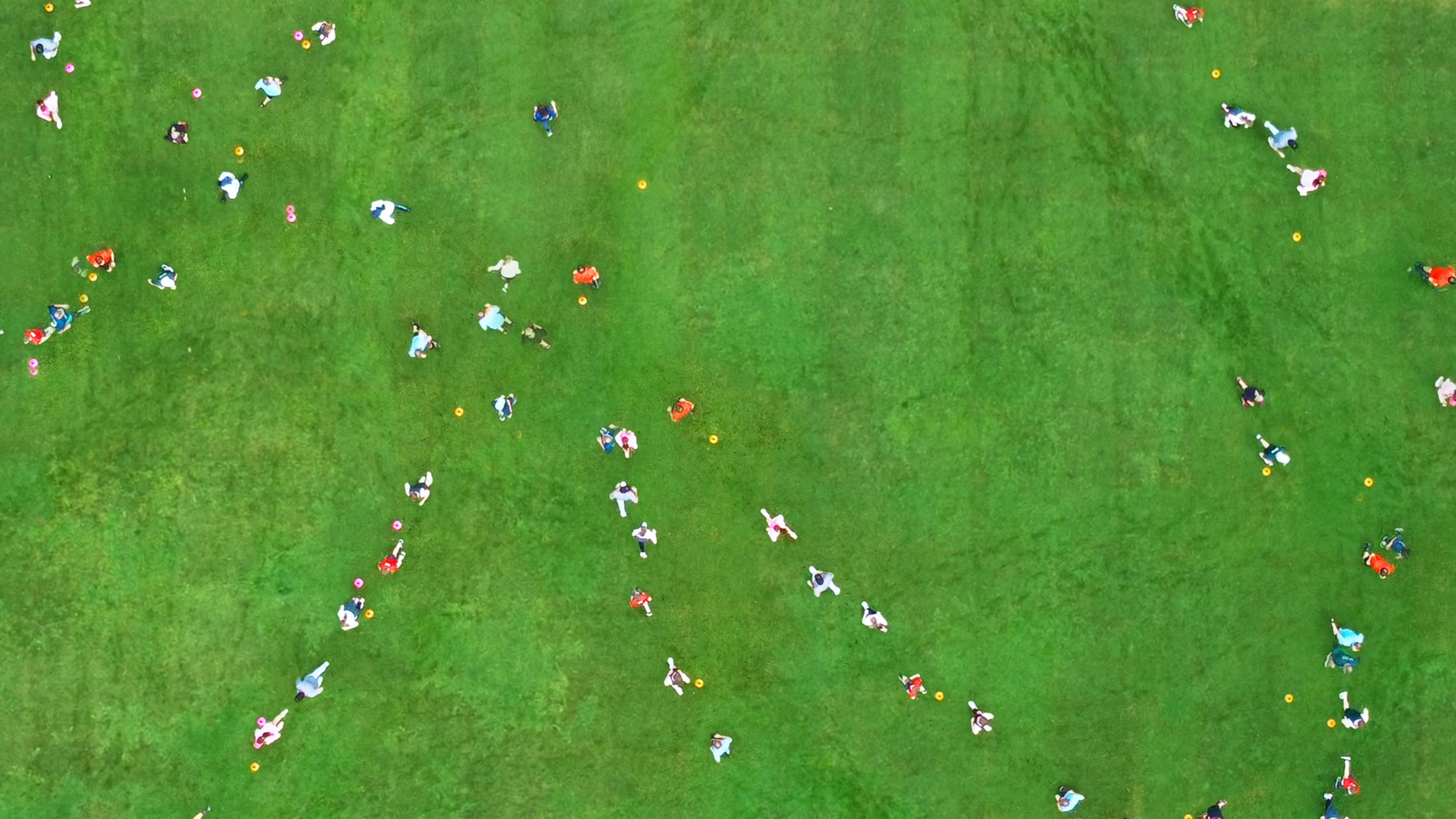 cu birds eye.png
