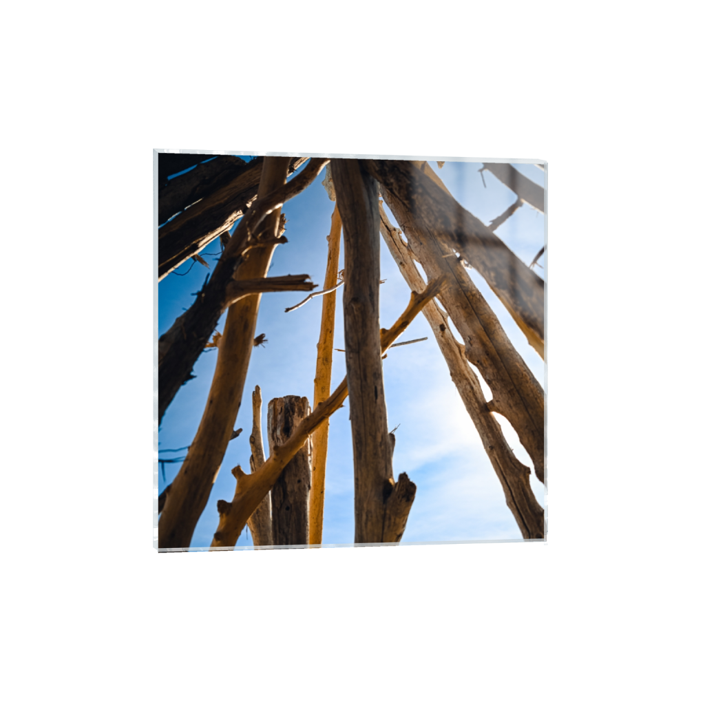 ptq_17_0_0_1376_5504_5504_0_false_ffffff_0_0_.png