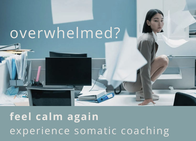 somatic coaching