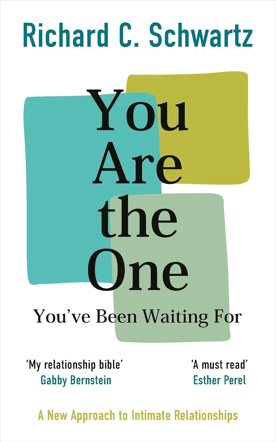 you-are-the-one-ifs-book.jpg