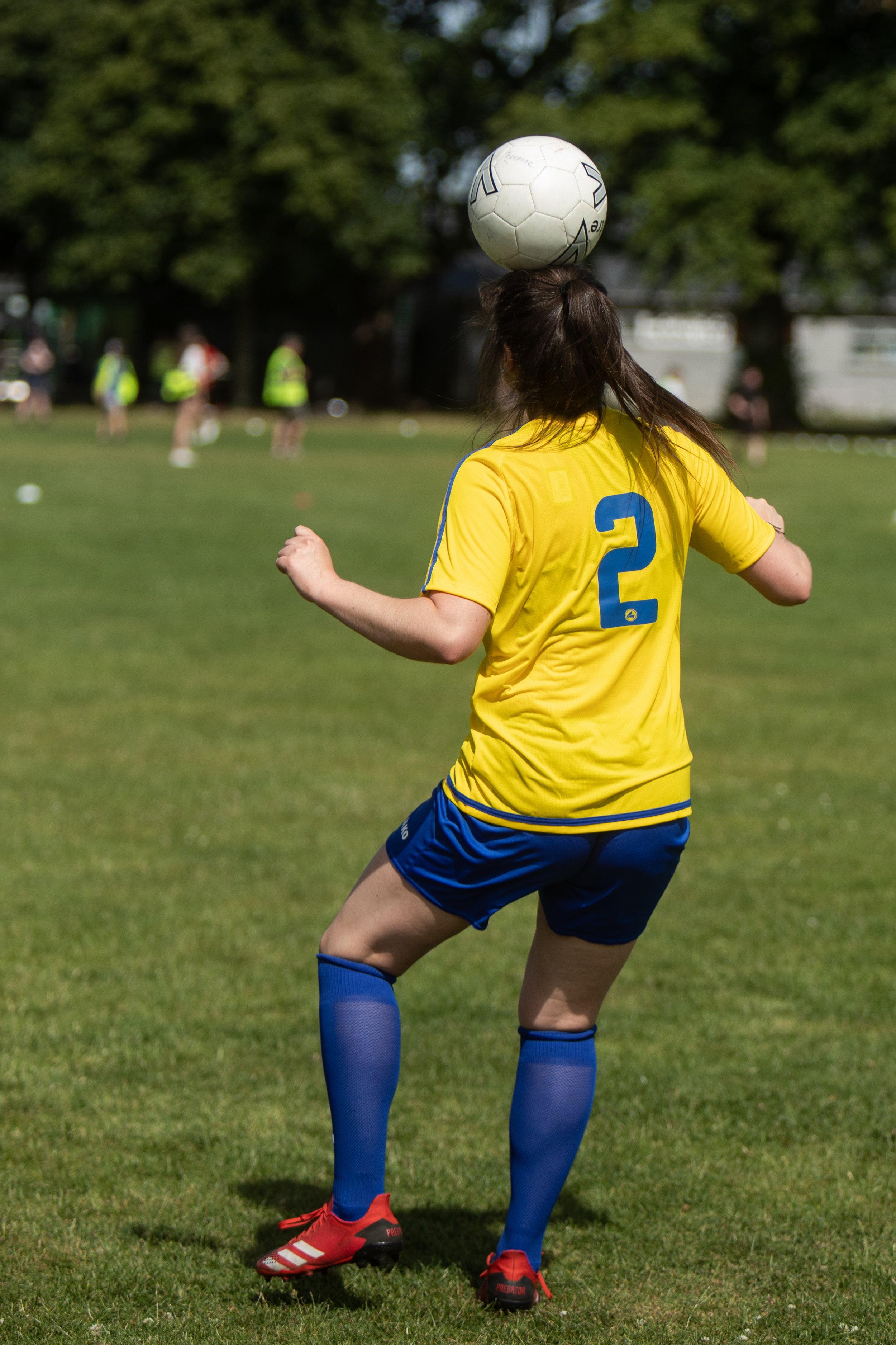 603A2012.jpg