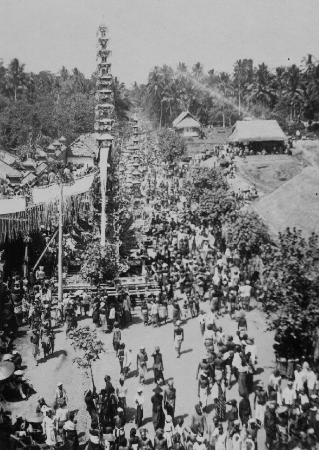 7082-nf-1760-4 .jpeg